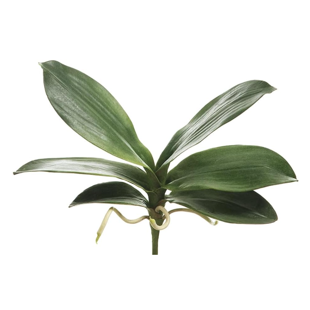 Tallo con 7 hojas de orquidea color verde 12″