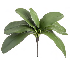 Tallo con 7 hojas de orquidea color verde 12″