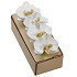 Set de 4 aros para servilletas con decoracio de orquidea color blanco 3.5 diametro