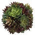Bola decorativa de suculentas en color verde y morado 6"