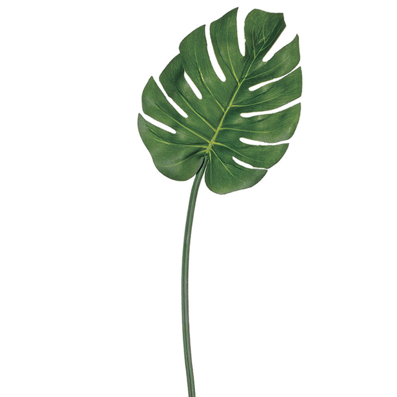 Hoja de Palmera Verde