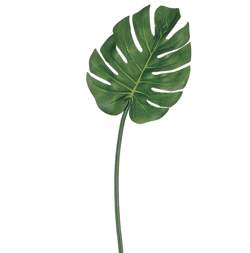 Hoja de Palmera Verde