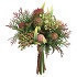 Ramo de protea cardo y sedum en colores verde y burgundy 7.5"