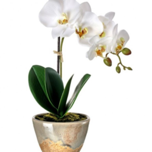 "Arreglo de orquidea de 1 Vara Color Blanco 14"""