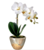 "Arreglo de orquidea de 1 Vara Color Blanco  14"""