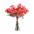 Ramo de claveles fucsia 14"