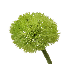 Borla color verde 25"