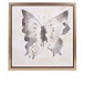 Pintura de oleo de mariposa malaquita en tonos gris con dorado marco natural 17.75x17.75x1.5