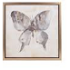 Pintura de oleo de mariposa magnifica en tonos gris con dorado marco natural 17.75x17.75x1.5