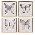 Pintura de oleo de mariposa saltarina cola larga  en tonos gris con dorado marco color natural demensiones 17.75"x17.75"x1.5"