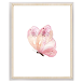 Cuadro decorativo mariposa rosada alas cerradas  11x14 plgds con marco blanco