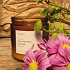 Vela minerva terra 15oz pink pepper & vetiver