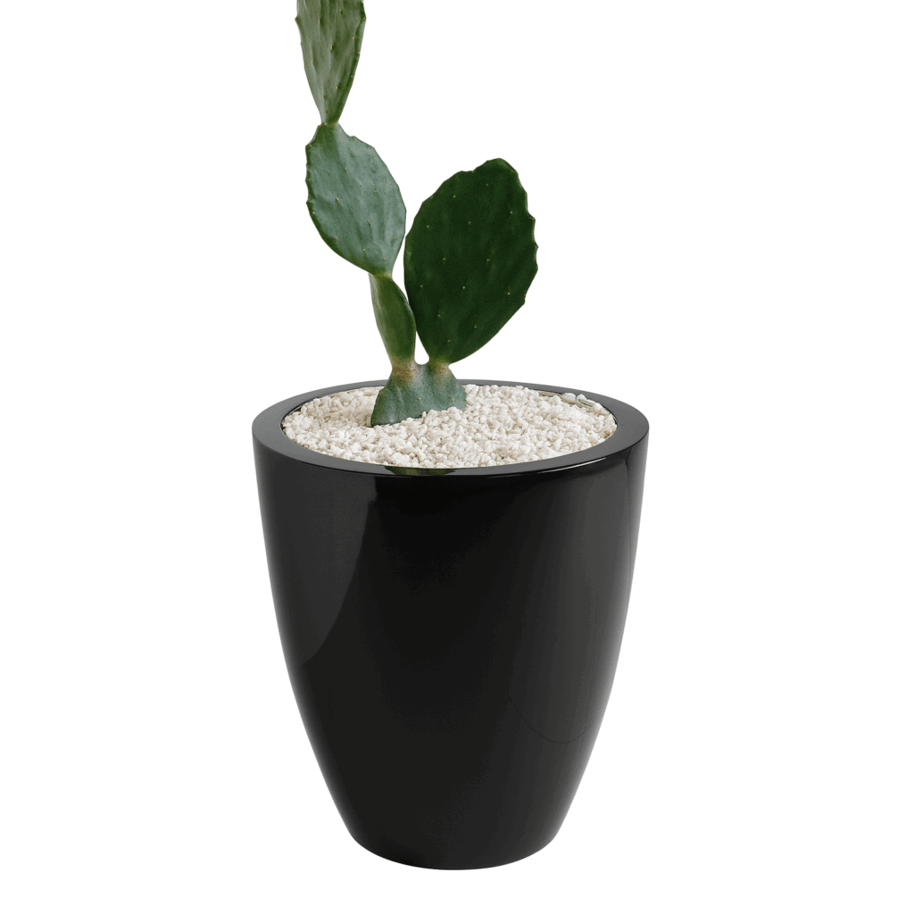 Maceta Rialdi vasse pequeña color negro mate