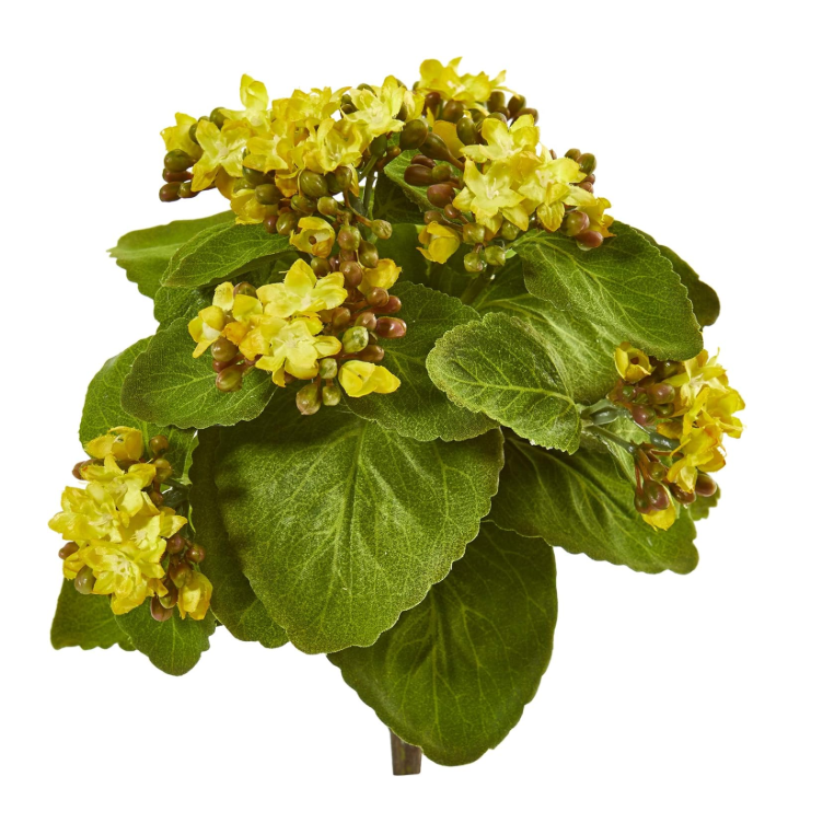 Ramo de hortencias  amarilla