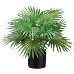 Planta pequeña de palma en maceta negra 23"