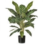 Planta de aglaonema 26" en maceta negra