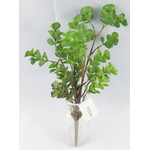 Planta de eucalipto de 17"