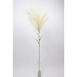 Spray de pampas en color crema 50″