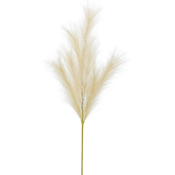 Spray de pampas en color crema 50″