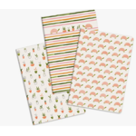 Set de 3 libretas jardin de tortugas