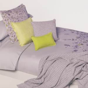 Set de Duvet Brach Twin