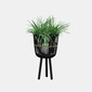 Maceta de bamboo negro 11"