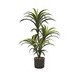Arbol de yucca artificial en maceta negra 33 x 24 x 26"