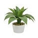 Suculenta artificial en maceta blanca  5 x 3 x 6.50"