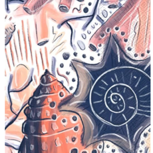 Servilleta Diseño Caracol, 16 uni