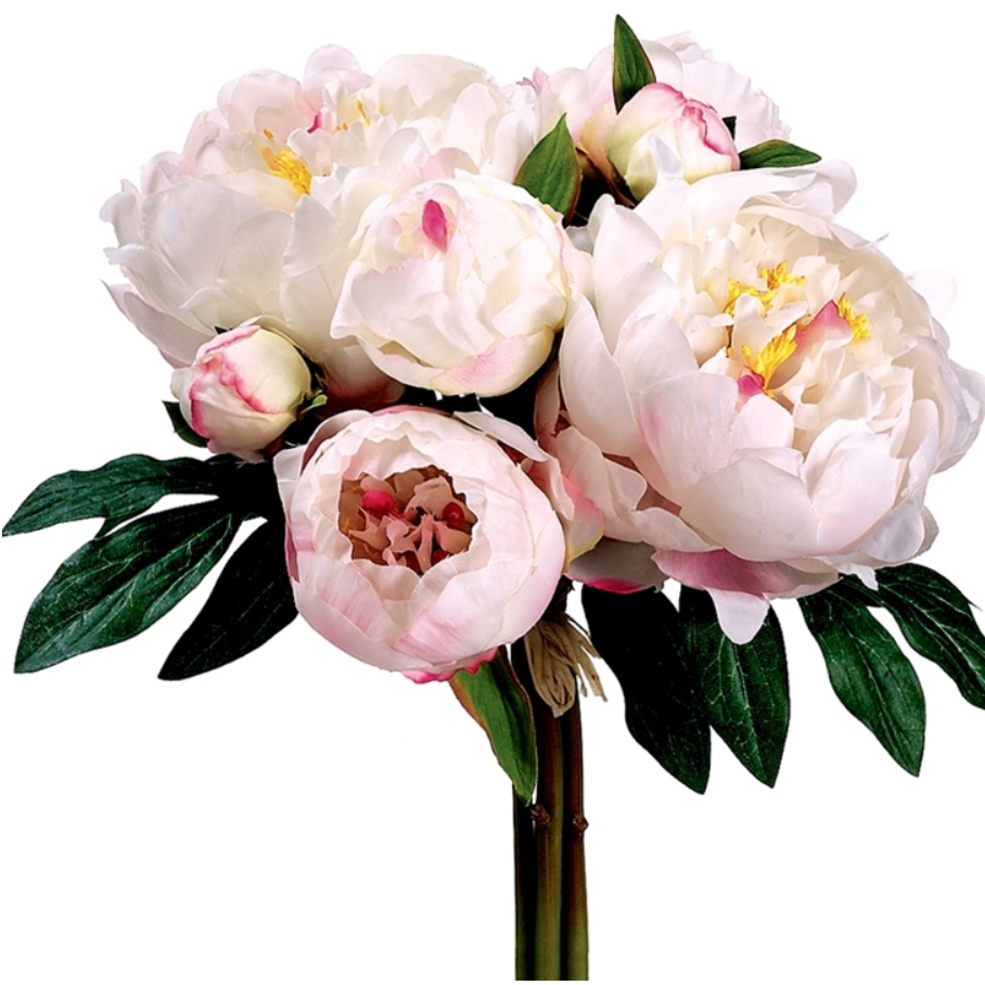 Ramo de Peonia 14″