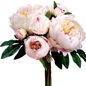 Ramo de Peonia 14"
