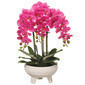 Arreglo de orquidea fucsia 3 varas 22"