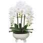 Arreglo de orquidea blanca 3 varas 22"