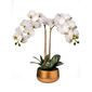 Orquidea 2 varas blanca con maceta dorada 25"