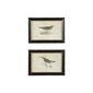 Set de 2 cuadros enmarcados en color negro de pajaros 19.5 x 13.5 x 19.5"