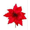 Flor de pascua con purpura de terciopelo rojo 14"
