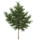 Spray hojas dorada y verde magnolia eucalipto y pino 32”