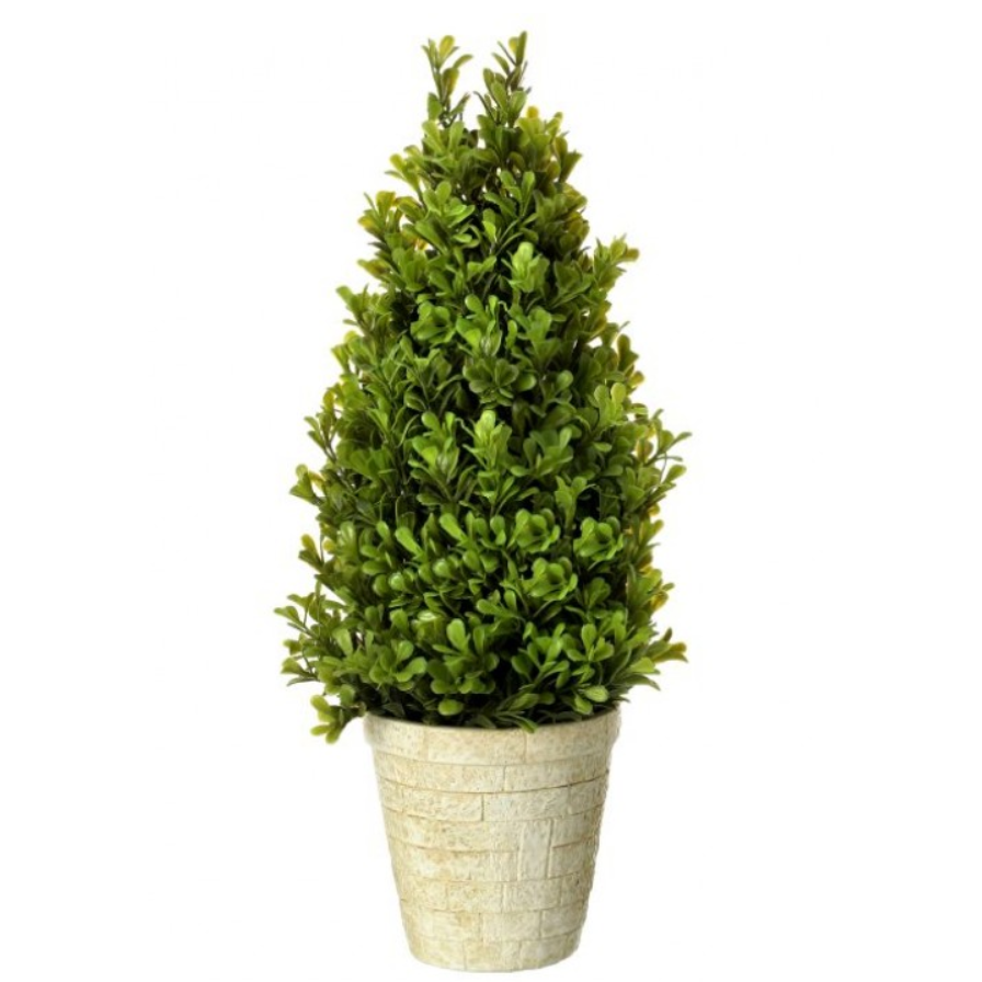 Arbusto Topiary en Maceta