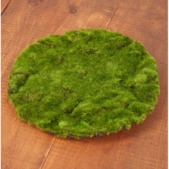 Musgo Redondo