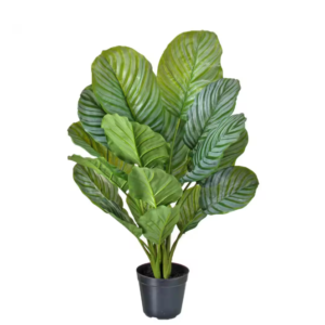 Planta artificial Calathea