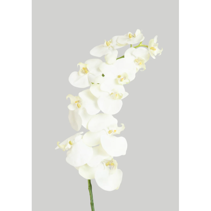 Tallo de orquidea blanca de 26″