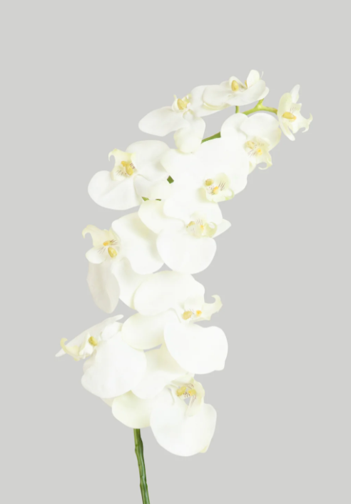Tallo de orquidea blanca de 26"