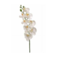 Tallo de orquidea blanca de 26″