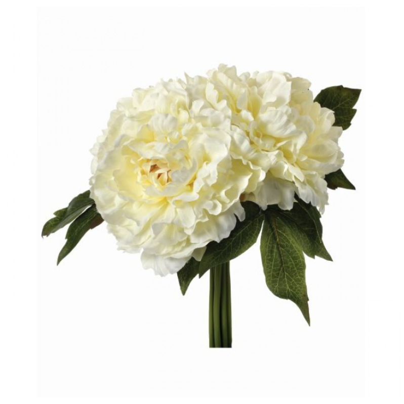 Ramo de peonía nata
