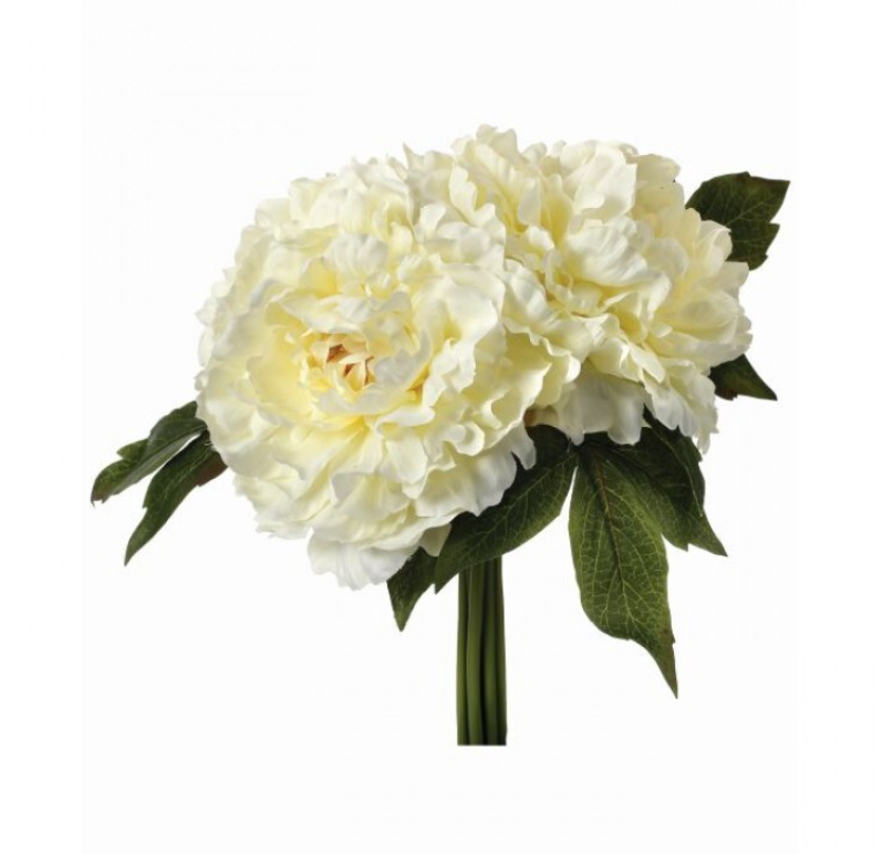 Ramo de peonía nata