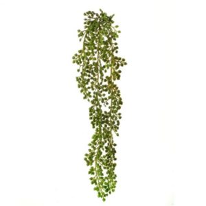 Suculenta colgante de bayas 21"
