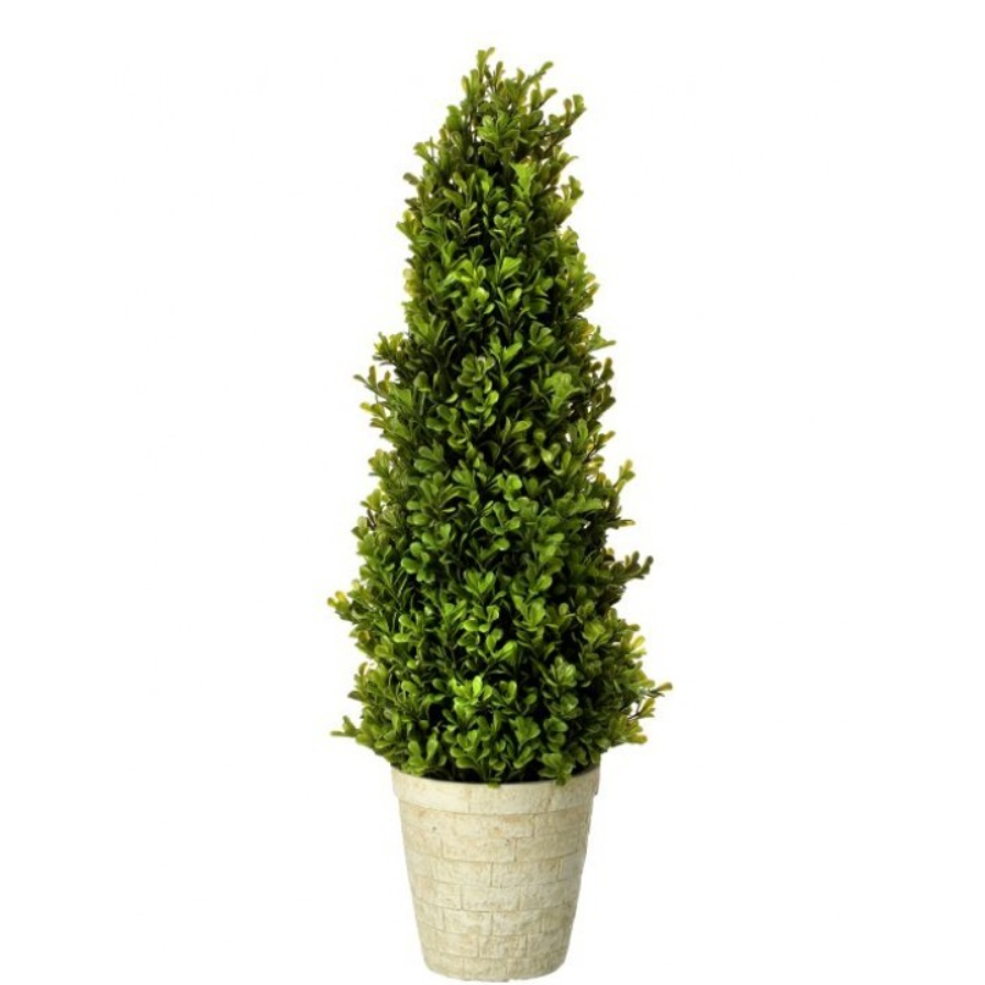 Arbusto Topiary en Maceta