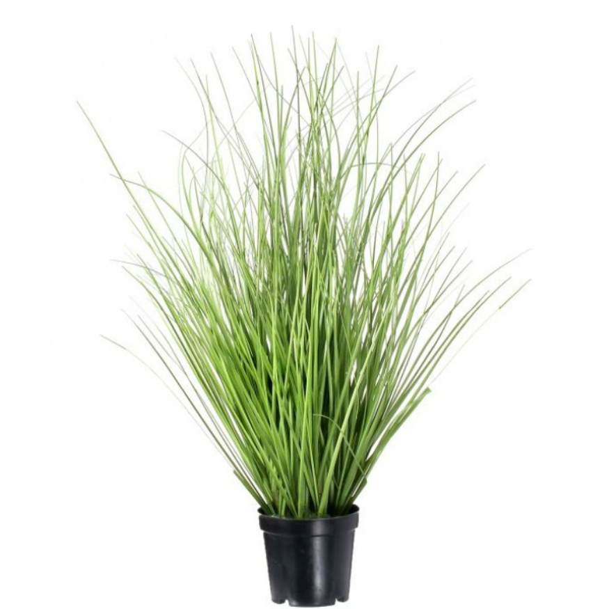 Hierba Verde Decorativa en Maceta