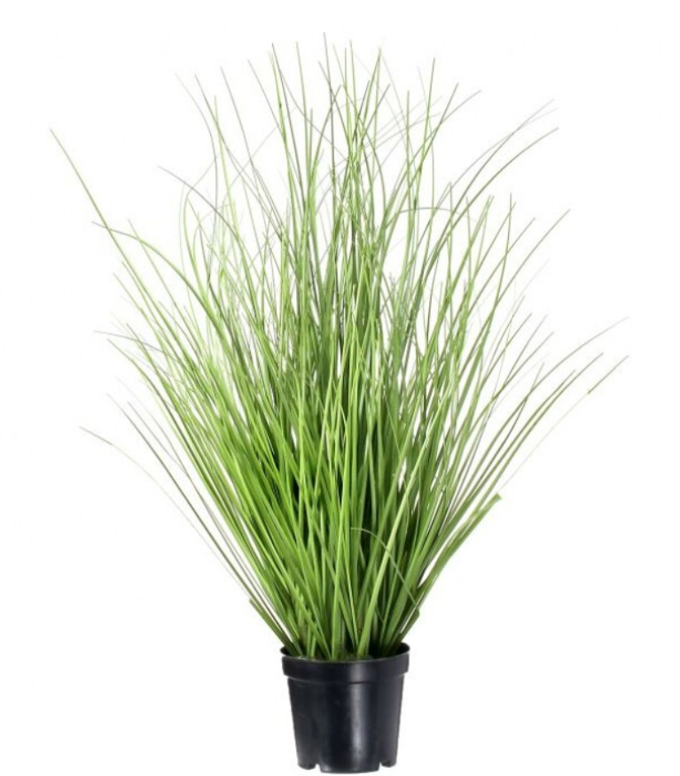 Hierba Verde Decorativa en Maceta