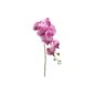Tallo de orquidea violeta de 40"